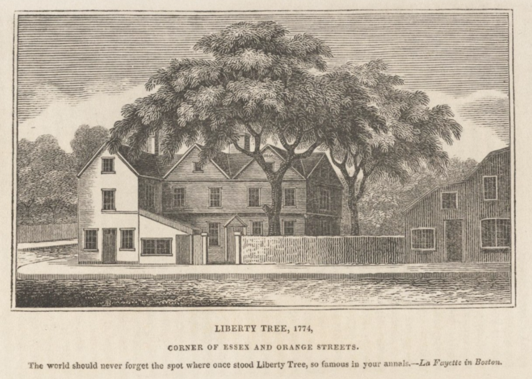 The Liberty Tree and the roots of American independence